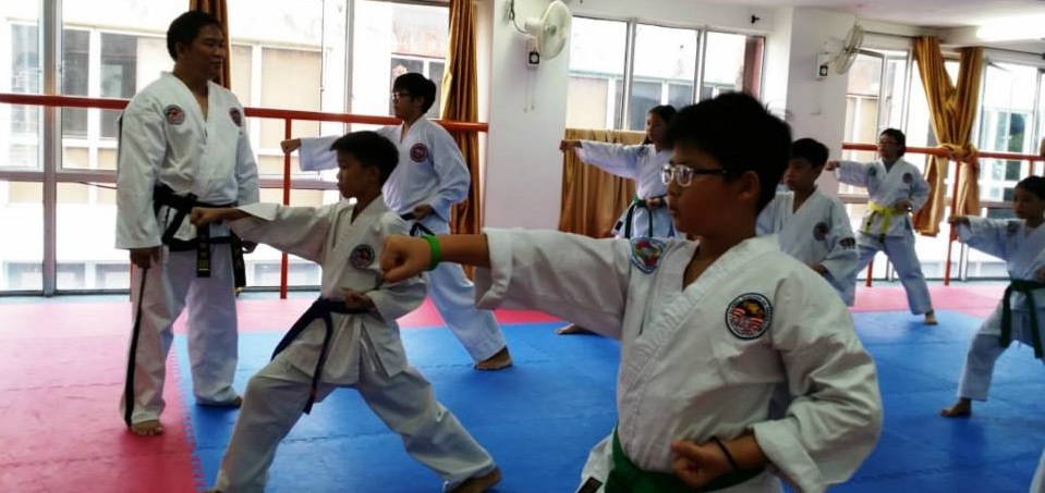 Malaysia Taekwondo MFA Class Training